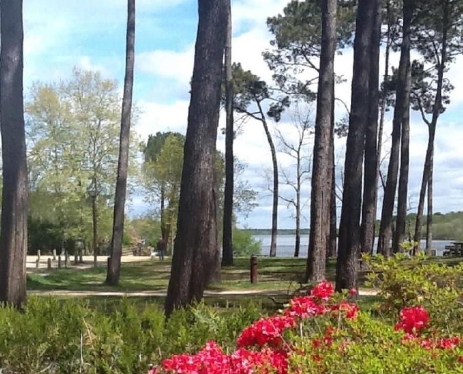 Hotel Au Bon Coin Du Lac Mimizan Ngoại thất bức ảnh